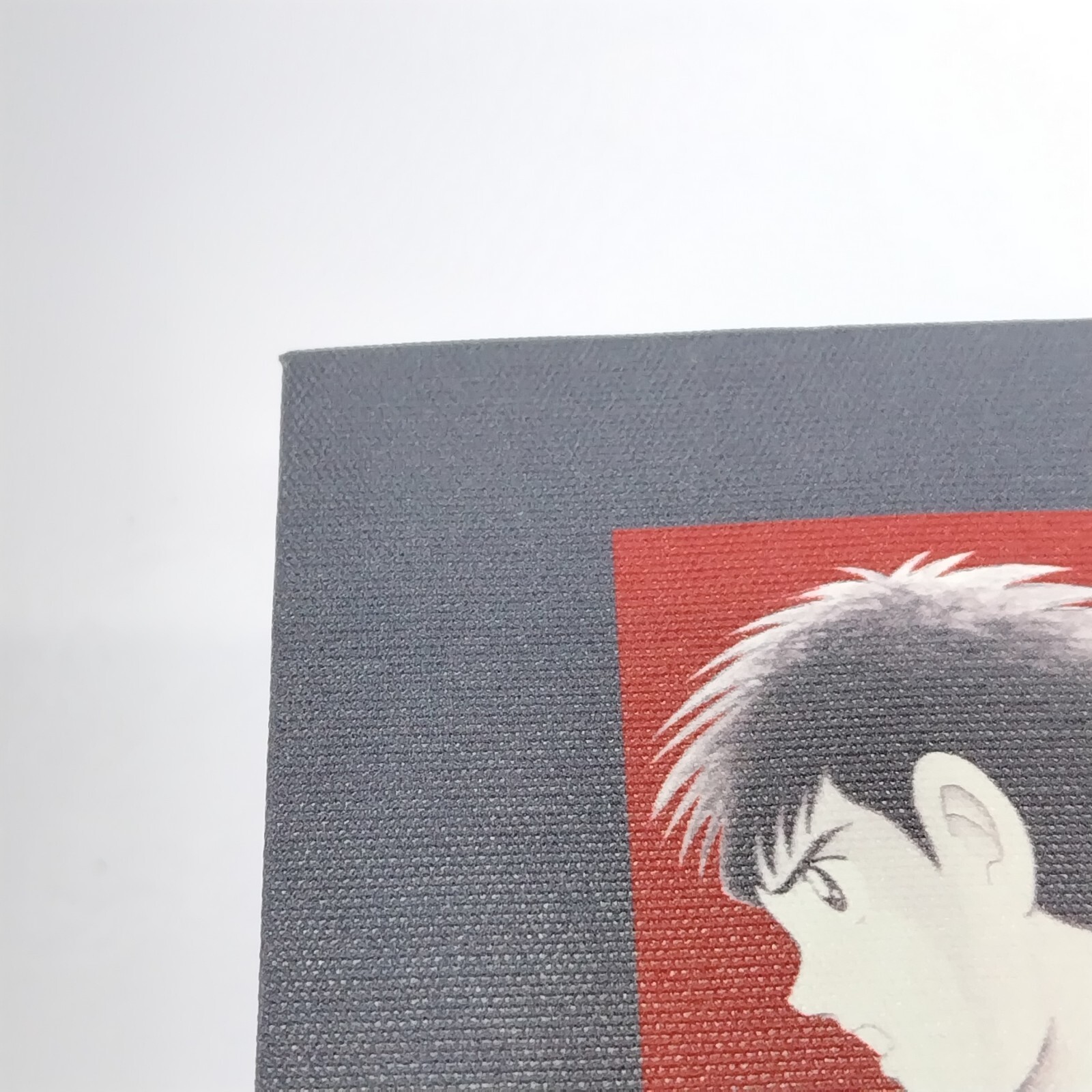 CAPTAIN TSUBASA Fabric Board Room Decoration Interior Compact Japan Japanese a
