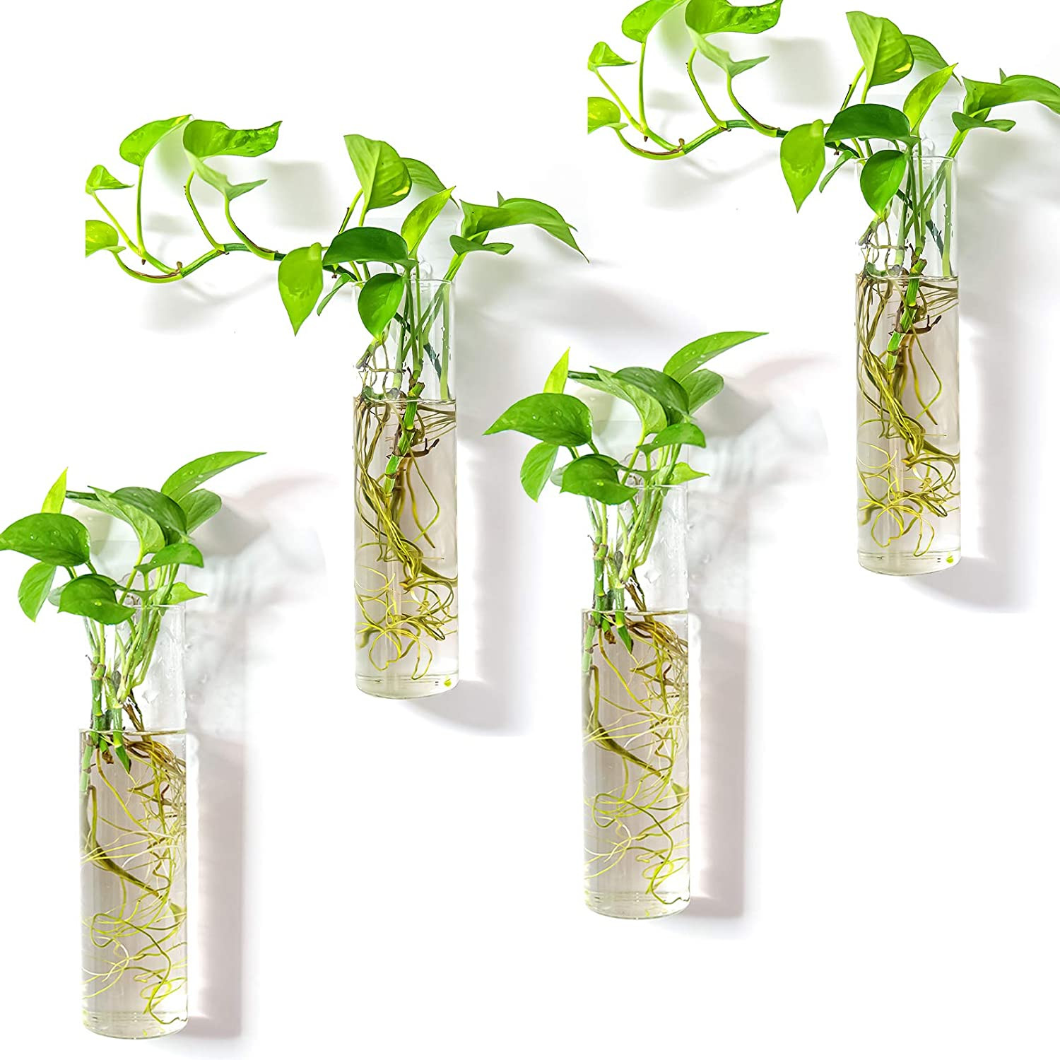 Wall-Mounted Plant Terrarium Propagation Station – 4 Cylinder Hanging Glass Tube