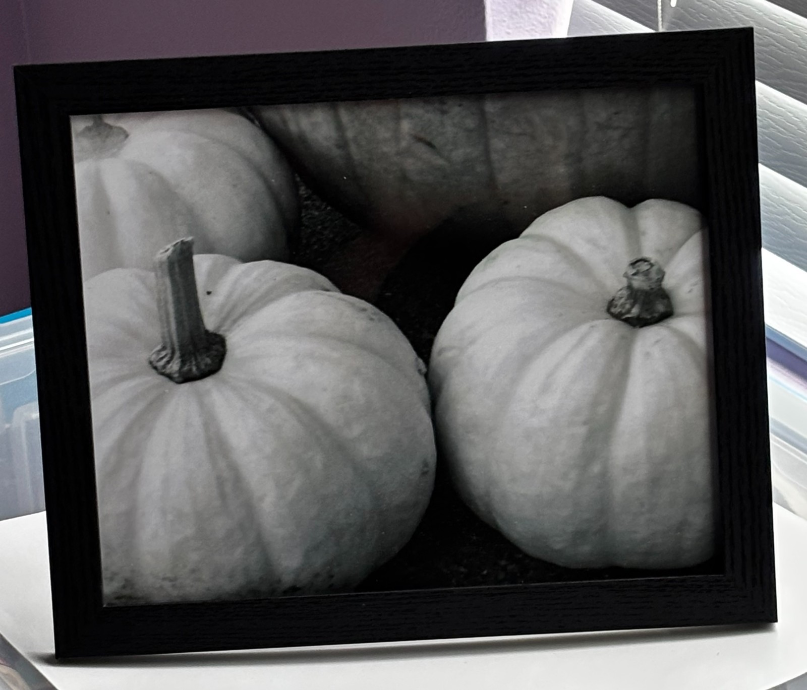 Original Pumpkin Photo – Framed (Black) – One of a Kind Wall Art – 8 X 10