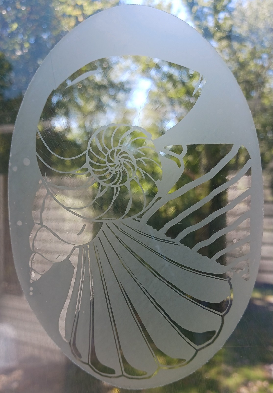 Shell Decal 4″x6″ OVAL Etched Glass Look Cling Removable & Reusable 26