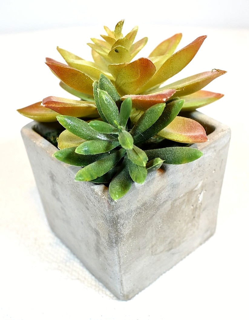 ARTIFICIAL SUCCULENT PLANTS, Set of 2 In Pots, Echeveria & Echeveria/Jade Mix