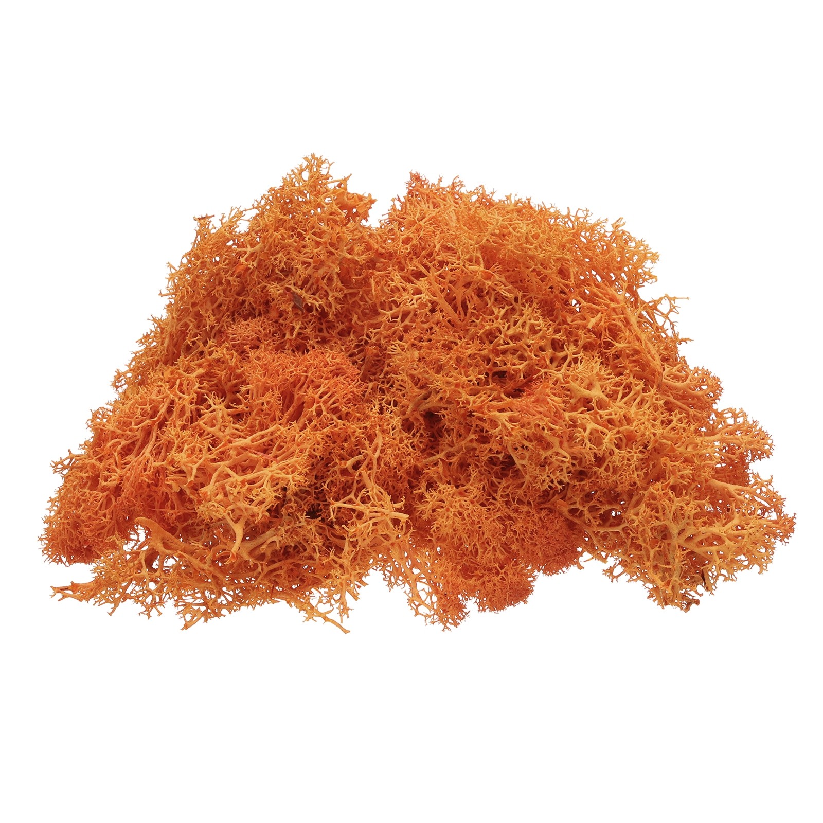 Preserved Reindeer Moss 4 OZ Fake Moss for Crafts (Orange)