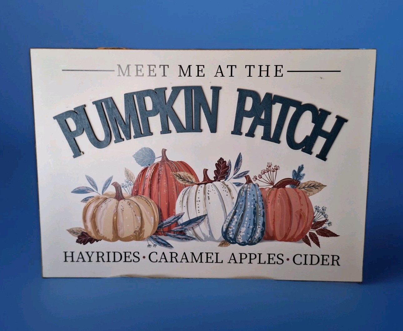 Ashland Wall Decor Pumpkin Patch Sign 23×17 Rope Hanger Garden Business Fun