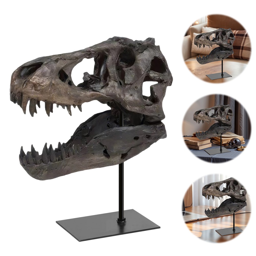 Dinosaur F ossil Figurine with Bracket Skull Sculptures Gift for Kids and Adults