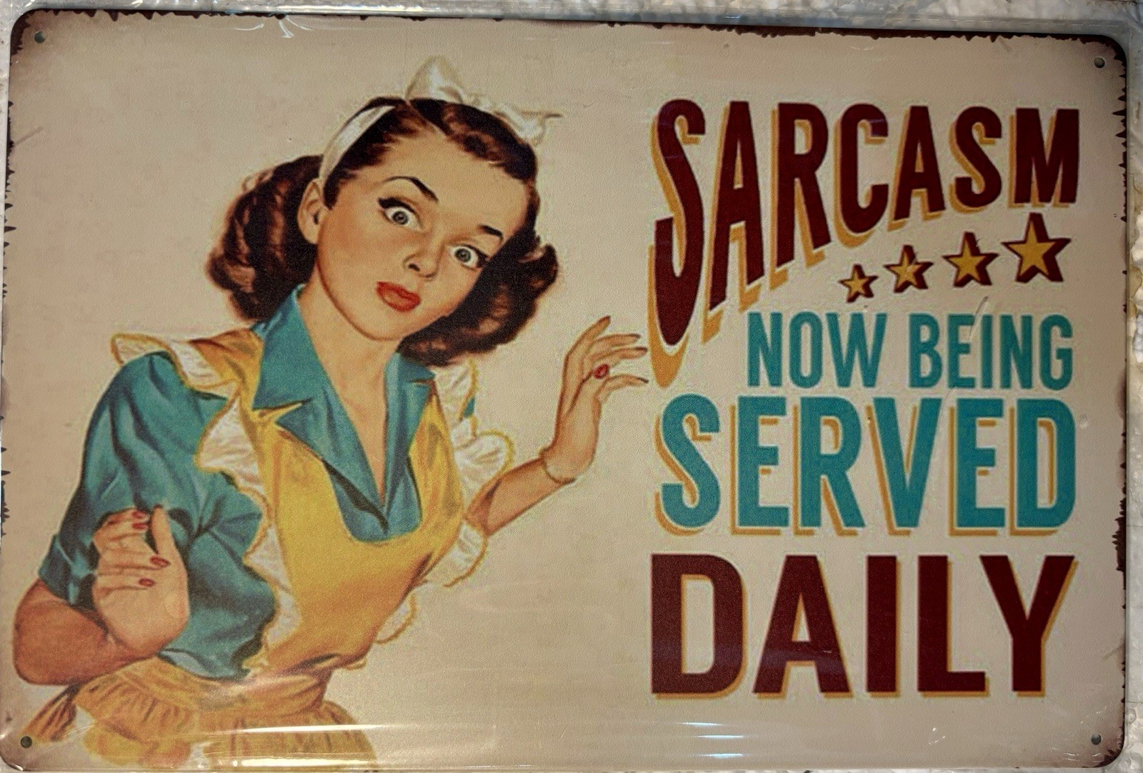 TIN SIGN 8×12 Sarcasm Funny Sarcastic Sexy Girl Office Cubicle Work Kitchen DD16