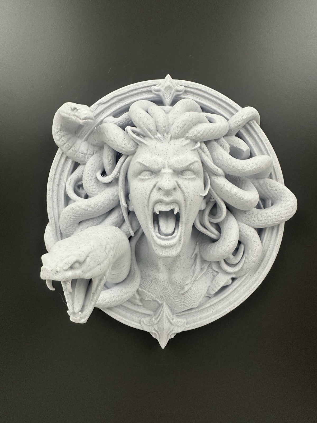 Medusa Wall Sculpture Gothic Snake Head Art Plaque Greek Mythology Decor 8”