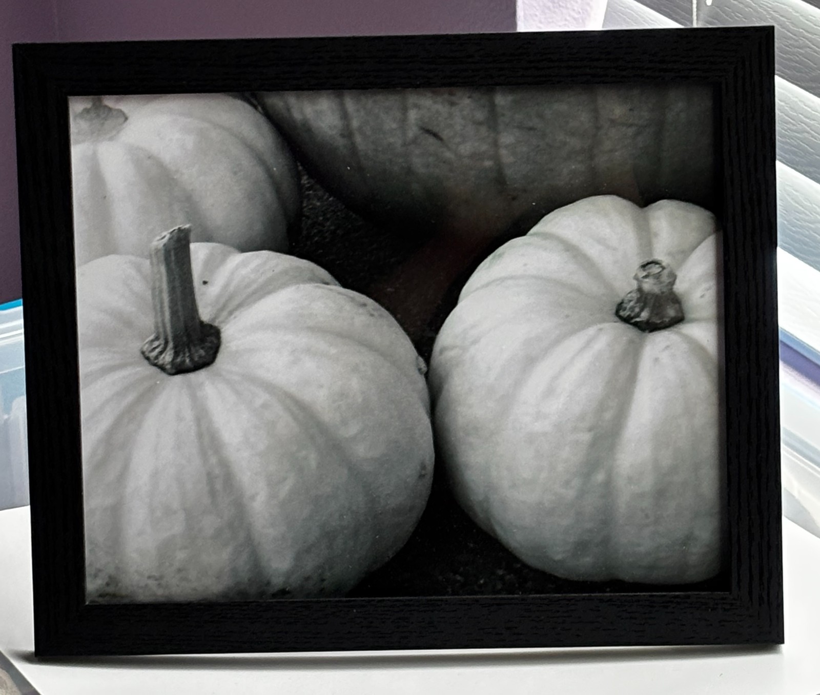 Original Pumpkin Photo – Framed (Black) – One of a Kind Wall Art – 8 X 10