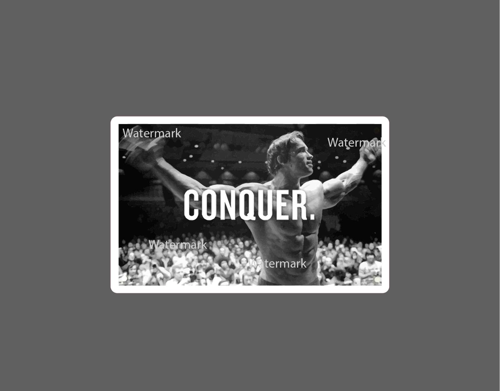 Conquer Sticker Arnold Bodybuilding Gym NEW – Buy Any 4 For $1.75 EACH Storewide