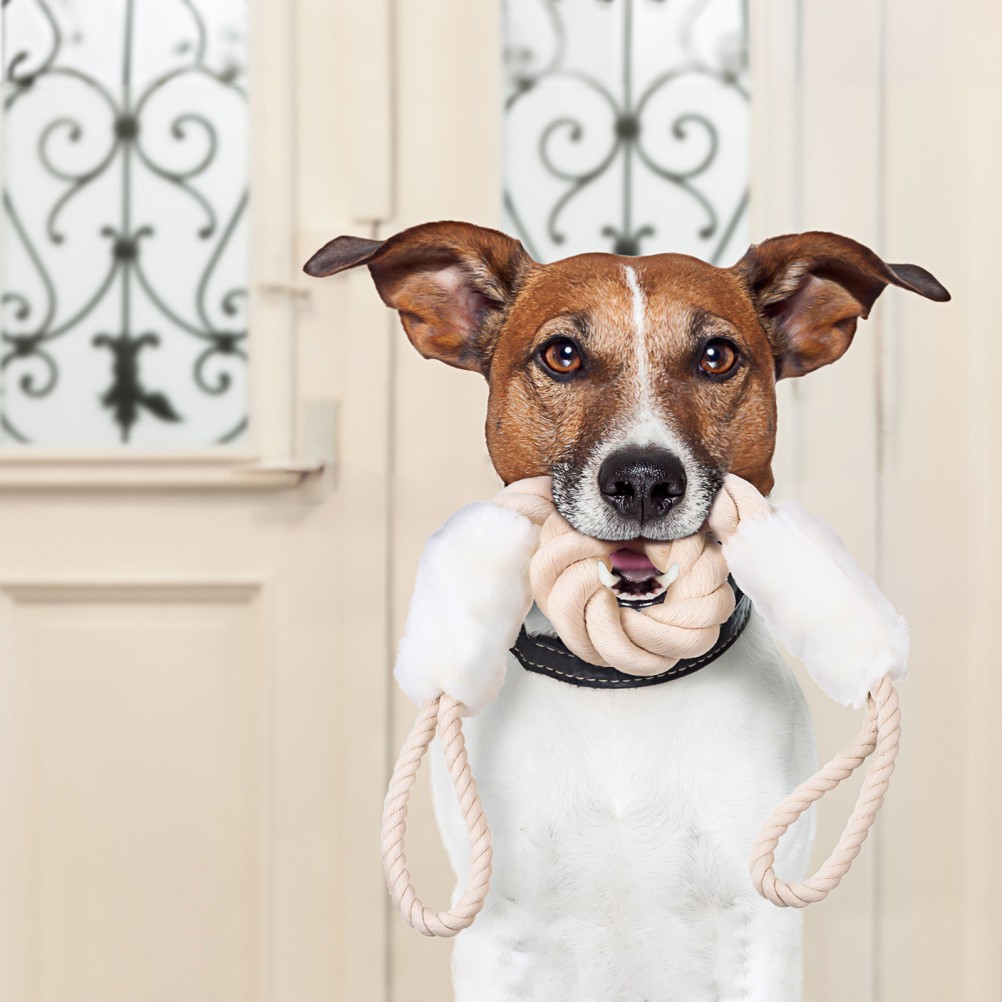 Cotton Polyester Door Strap Latch Finger Pinch Guard Door Rope for Pets
