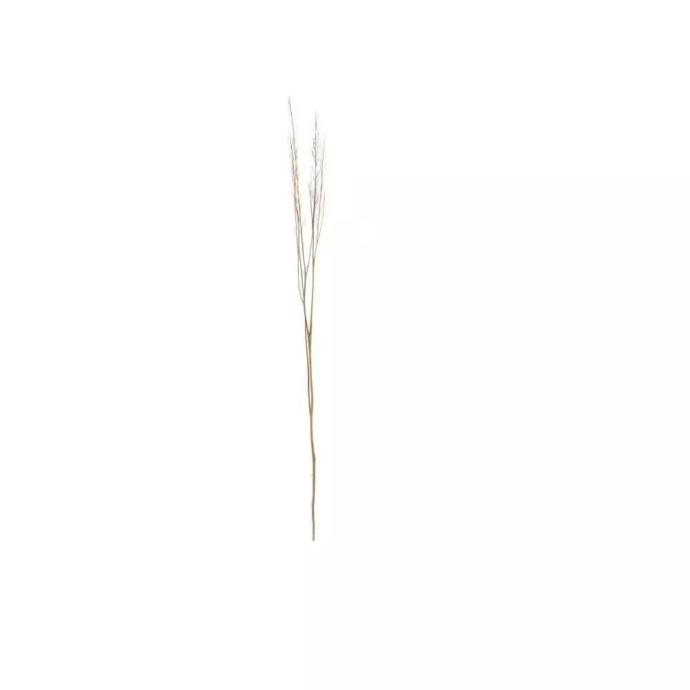 42 In. Tall Sticks Natural Foliage with Grass (One Bundle)
