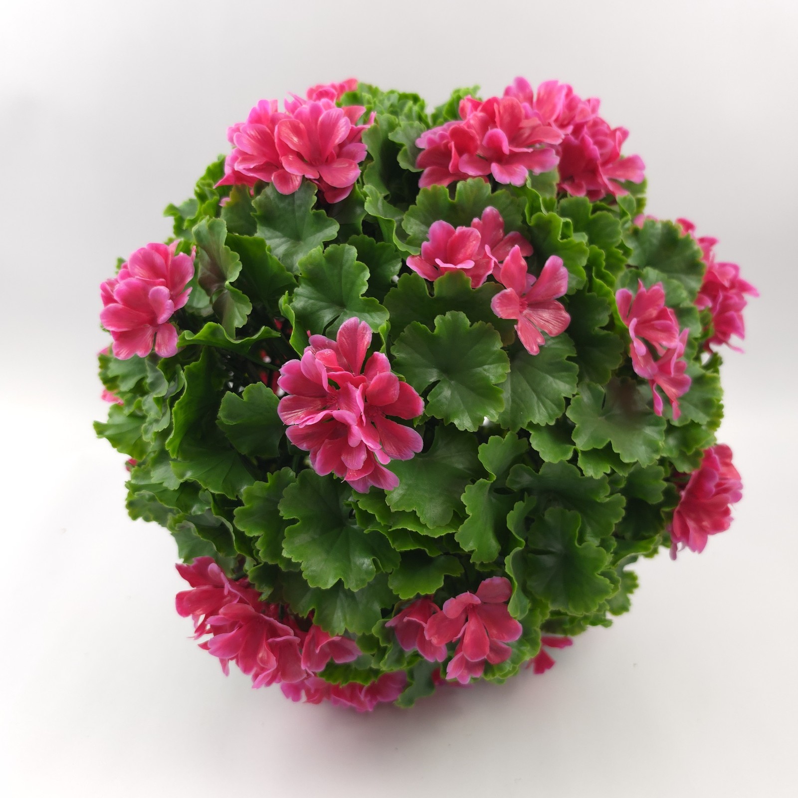 Wicker Park 13″ Pink Geranium Indoor/Outdoor Faux Floral Spring Sphere