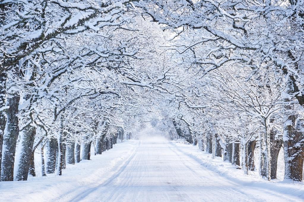 Winter Pictures Wall Decor Winter Poster Cool Wall Art Print Poster 24×16
