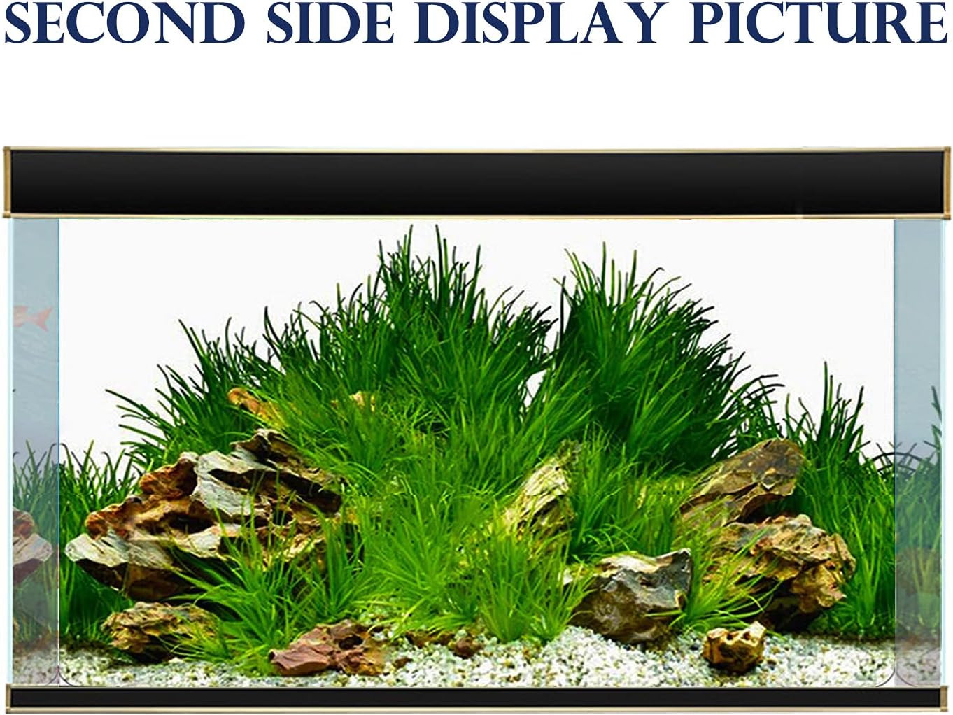 New 20″ X 48″ Fish Tank Background Paper Wallpaper 2 Sided Colorful Seaweed Wate