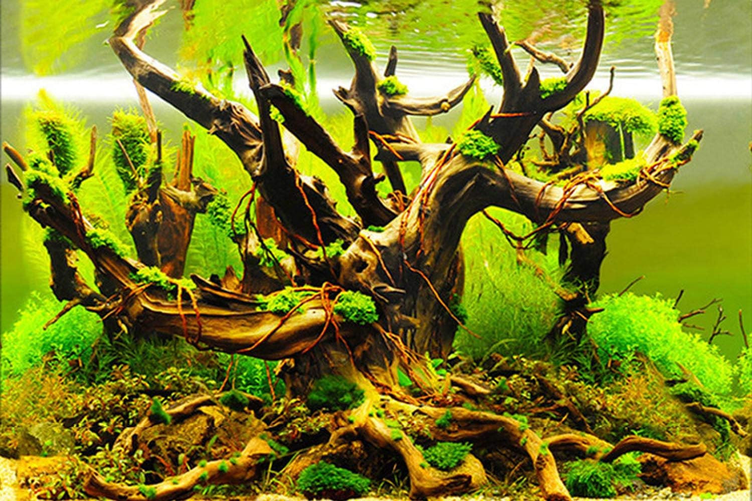 New 20″ X 48″ Fish Tank Background Paper Wallpaper 2 Sided Colorful Seaweed Wate