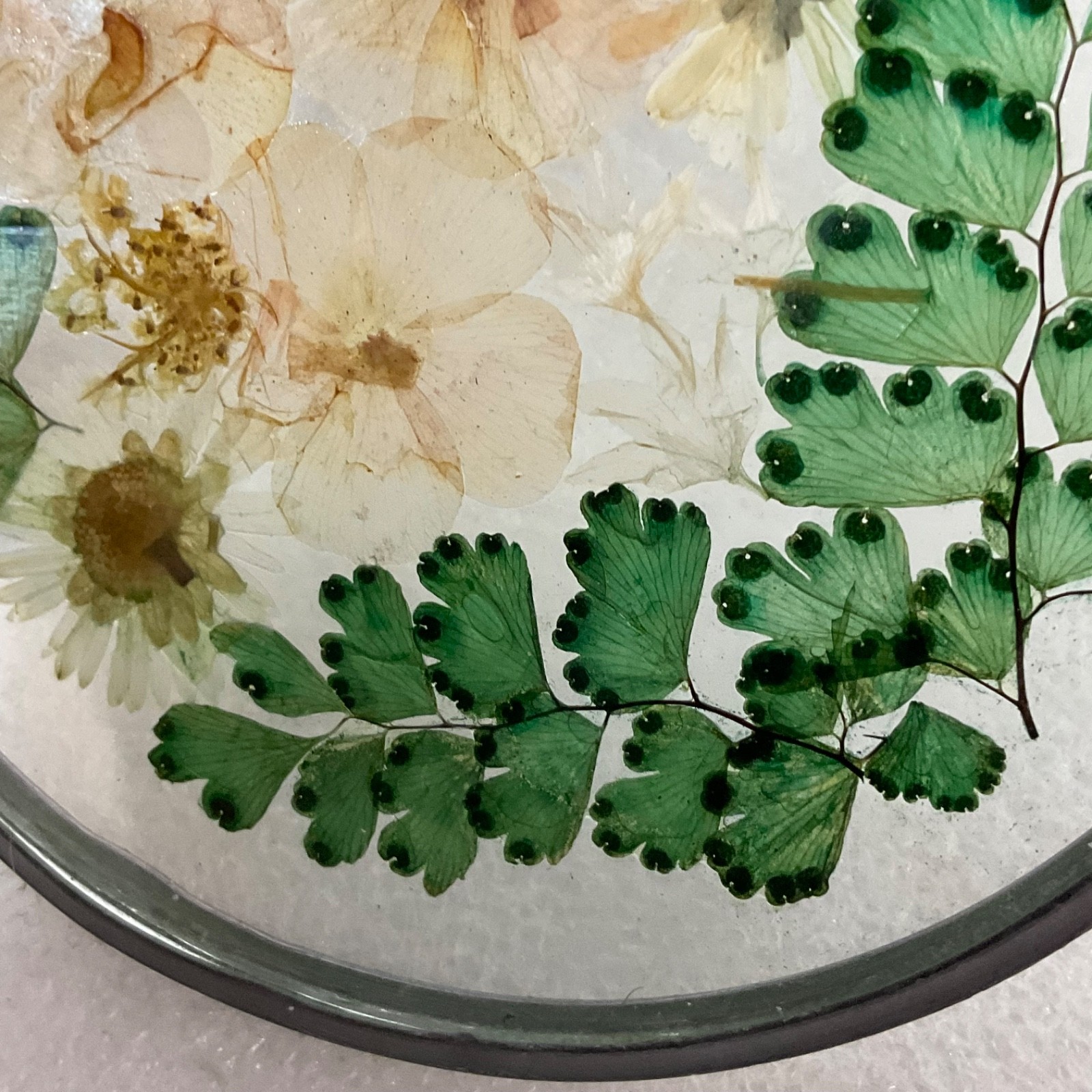 Pressed Flower Glass Suncatcher 4in Round Hanging Botanical Decor