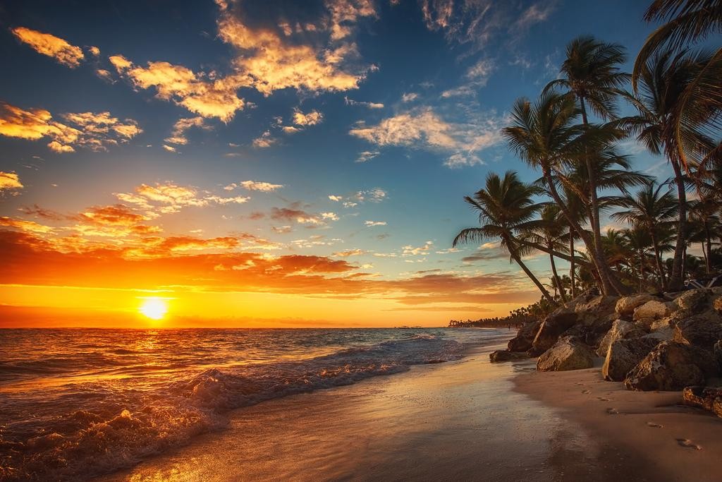 Sunset Over Tropical Beach Palm Tree Ocean Photo Poster Island Nature 24×16