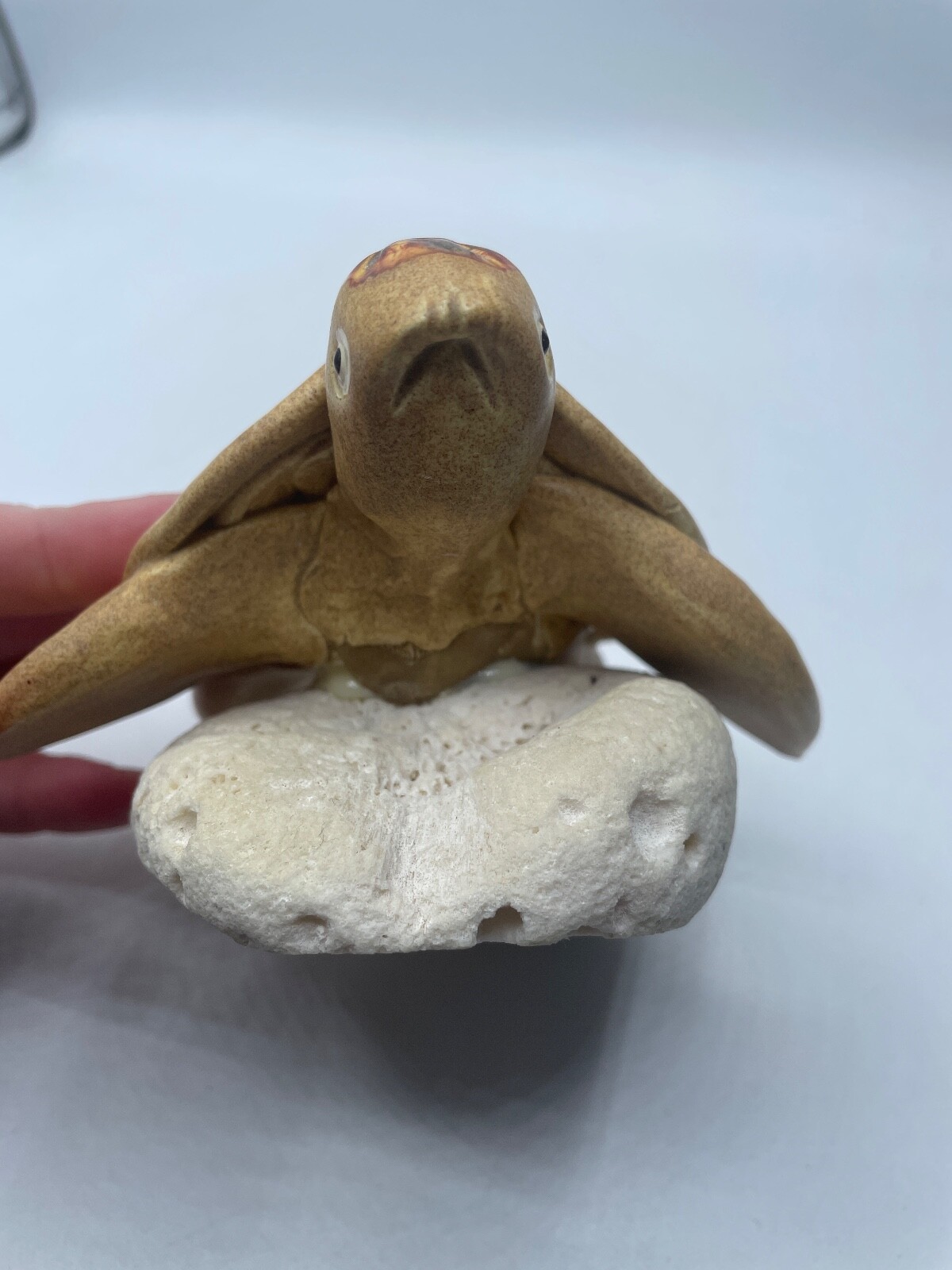 Handmade Turtle Glazed Shell on Coral Multicolor Ocean Beach Decor