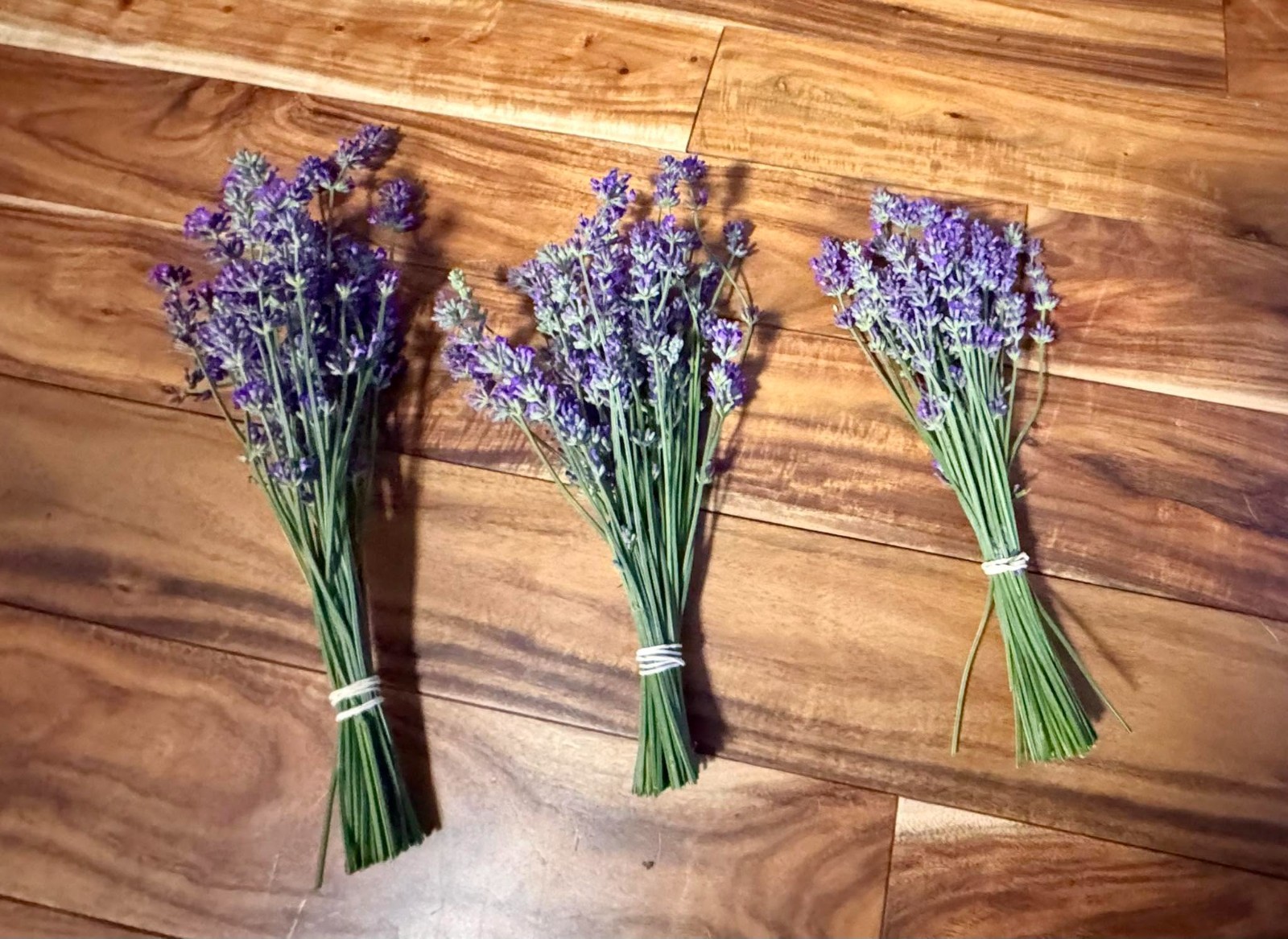 Fresh Lavender Bouquet Same Day Harvest Farm Grown Fragrant Floral Bundle