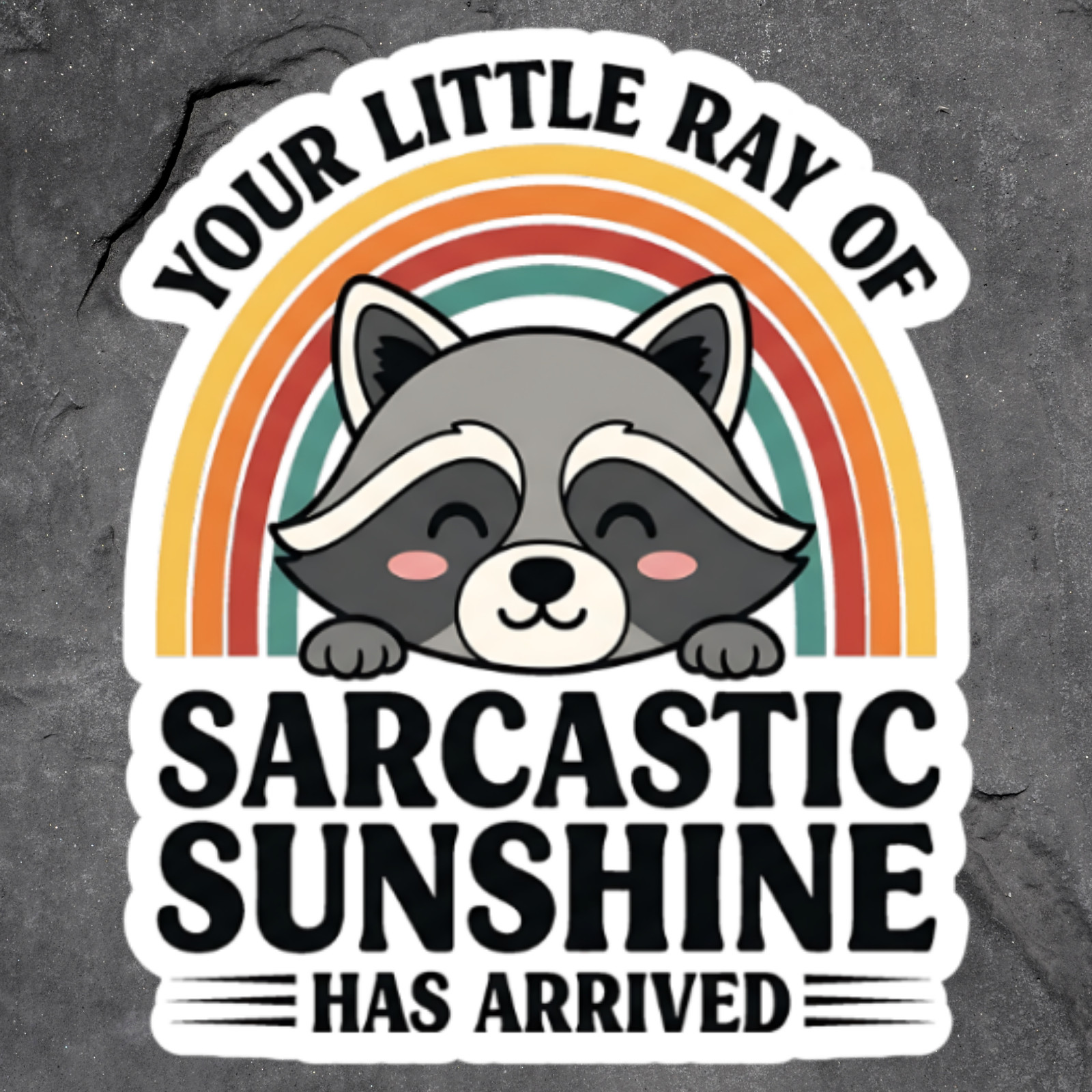 Raccoon Sticker Vinyl Decal Sarcastic Sunshine Funny Trash Panda Rainbow Cute