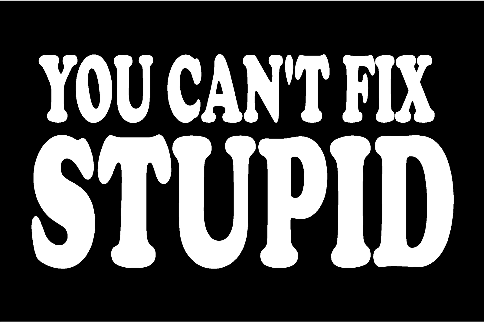 You Can’t Fix Stupid Decal Funny Saying car truck window vinyl sticker graphic