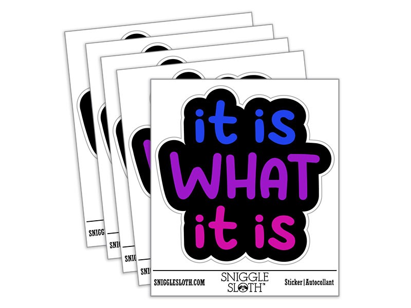 It Is What It Is Vinyl Sticker Set – 5 Pack