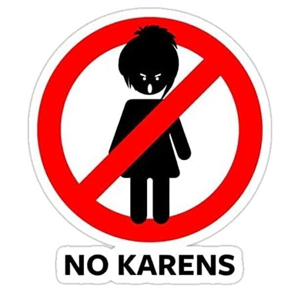 NO KARENS Sticker funny indie 90s 2000s anime dark nerd retro
