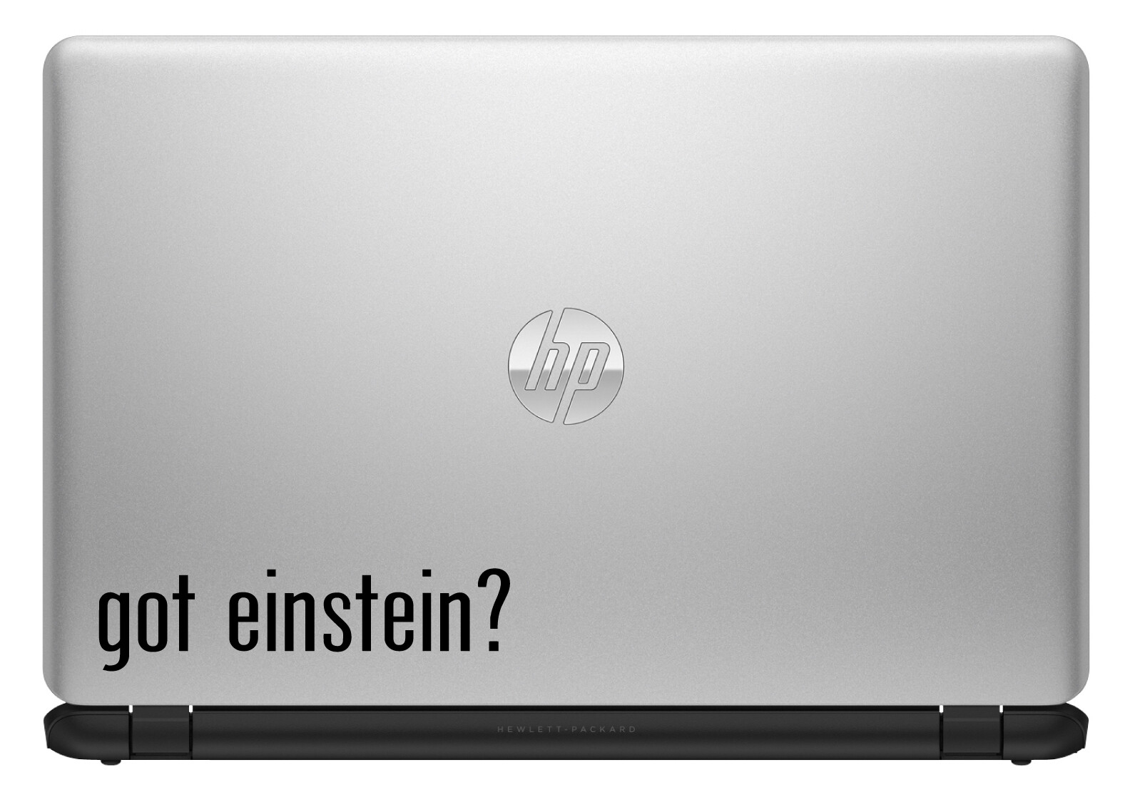 Got (Albert) Einstein? Vinyl Sticker Records Music Decal for Car Window Laptop