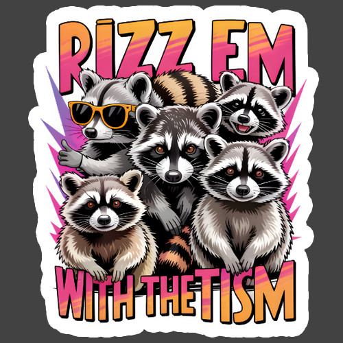 Raccoon Sticker Vinyl Decal Rizz Em With The Tism Funny Autism Meme Humor