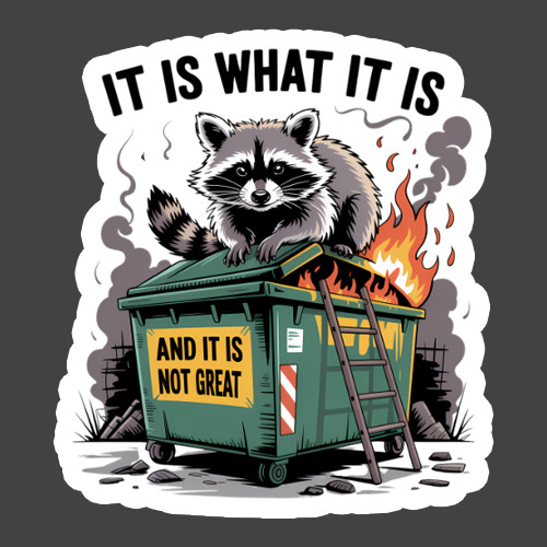 Raccoon Sticker Vinyl Decal It Is What It Is Funny Dumpster Fire Meme Humor