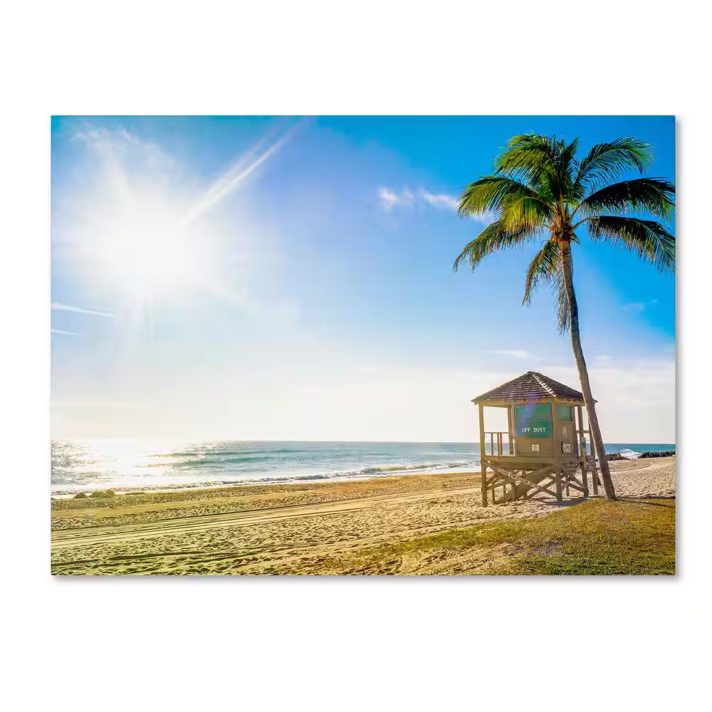Preston ‘Florida Beach Palm’ Canvas Unframed Photography Wall Art 35 In. X 47 In