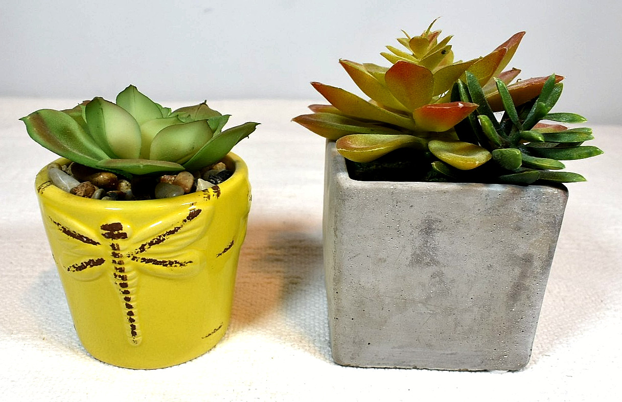 ARTIFICIAL SUCCULENT PLANTS, Set of 2 In Pots, Echeveria & Echeveria/Jade Mix