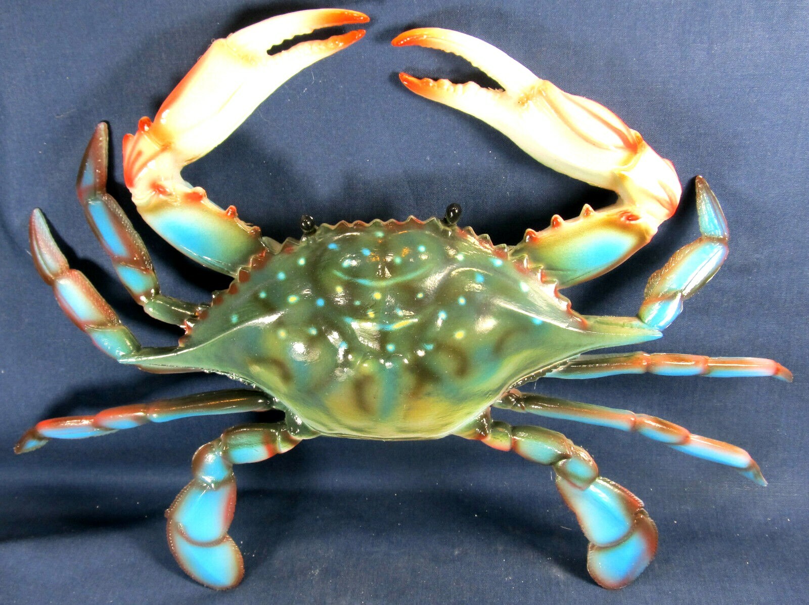Blue Crab Tropical sea life 10 inch Poly Wall Art Decor