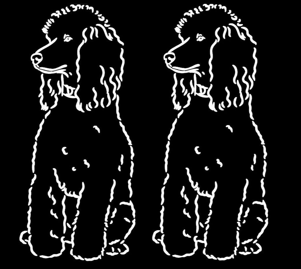Poodle Dog Graphic Two 6″ White Vinyl Decals Car Windows Laptop Tablet