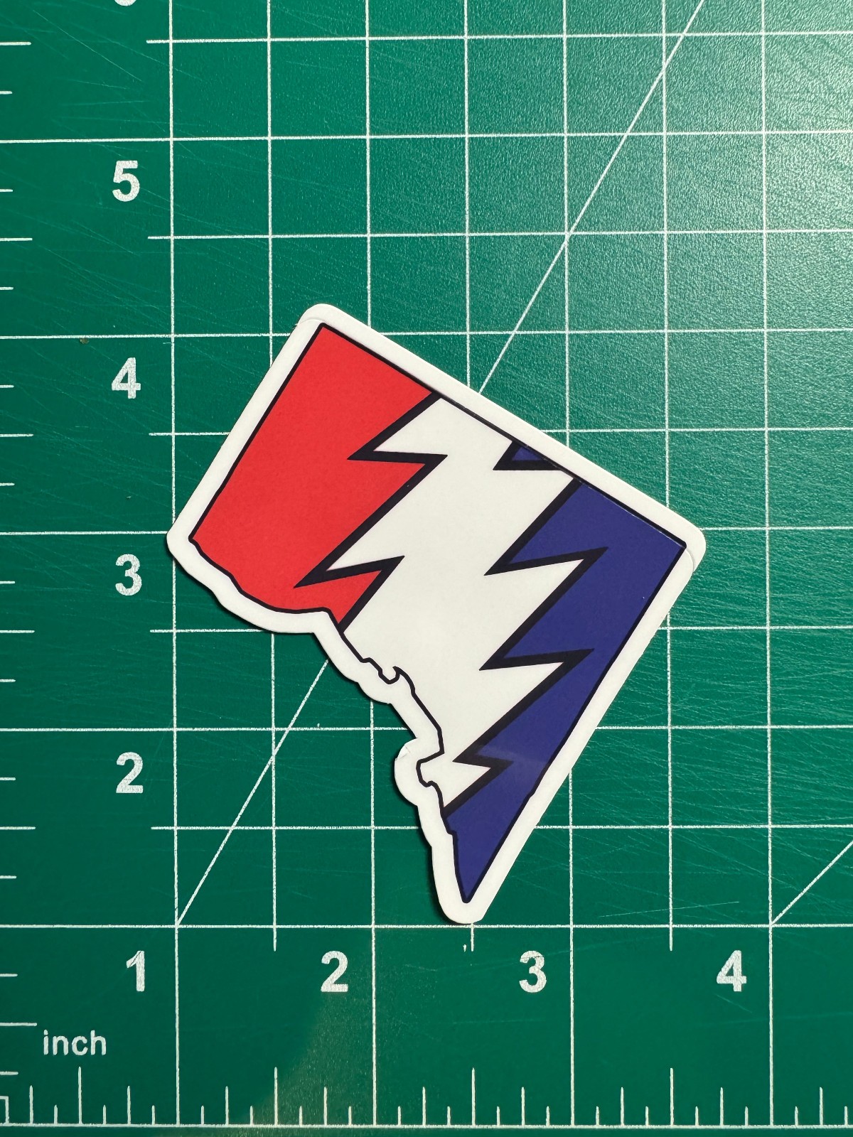 DC District of Columbia Stealie Grateful Dead Laminated Vinyl Sticker 2.5″x3″
