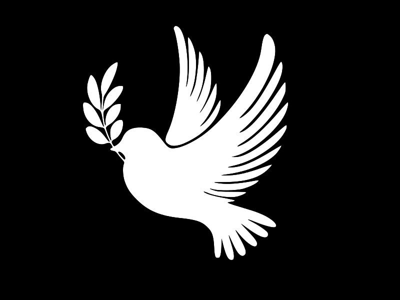 DOVE Peace on Earth Vinyl Decal Car Truck Wall Sticker CHOOSE SIZE COLOR