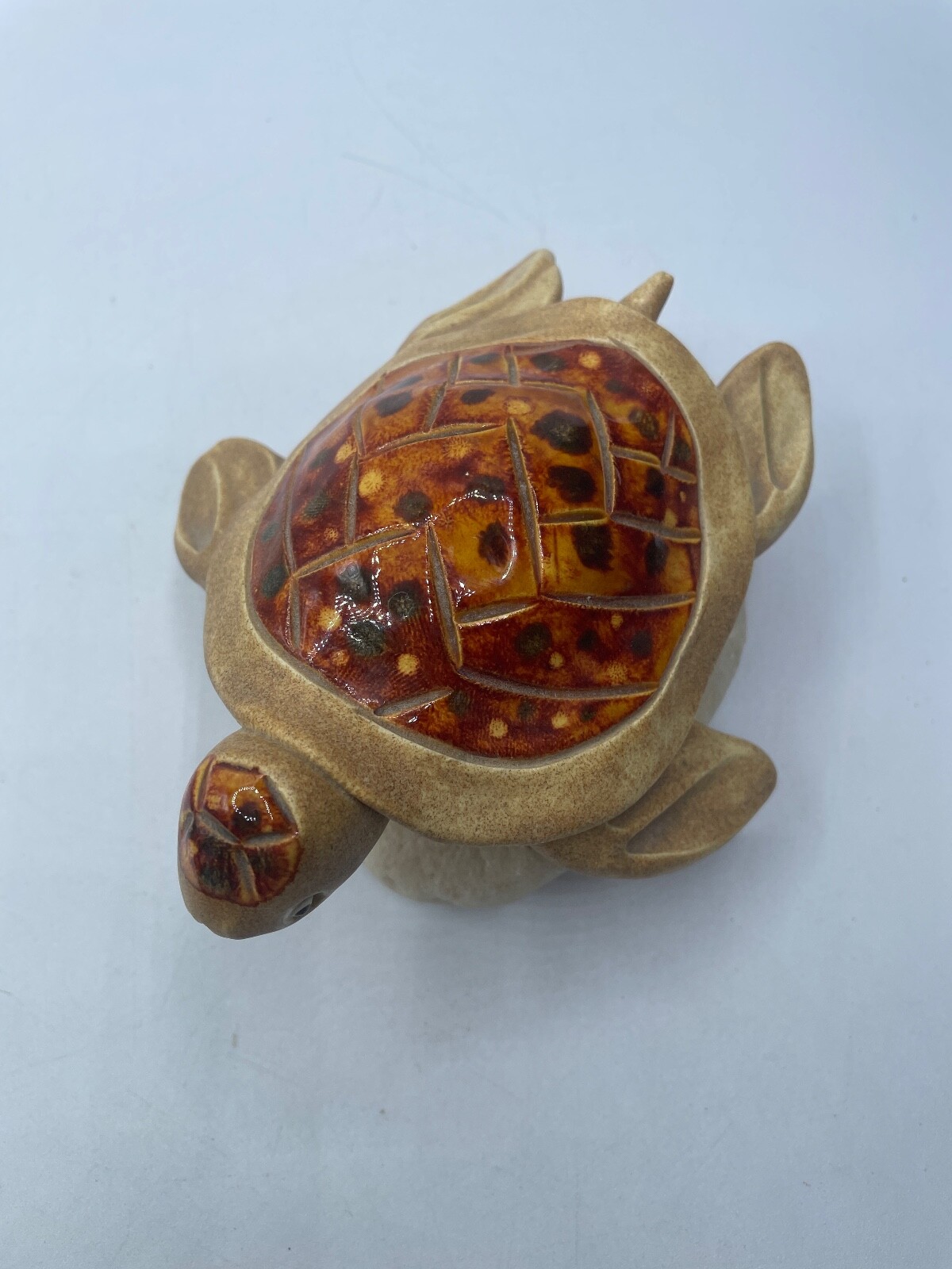 Handmade Turtle Glazed Shell on Coral Multicolor Ocean Beach Decor