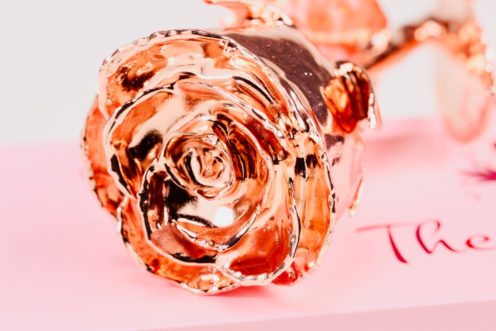 100% Natural Rose Dipped in Rose Gold, Short Stem 7″ tall, Anniversary, Proposal