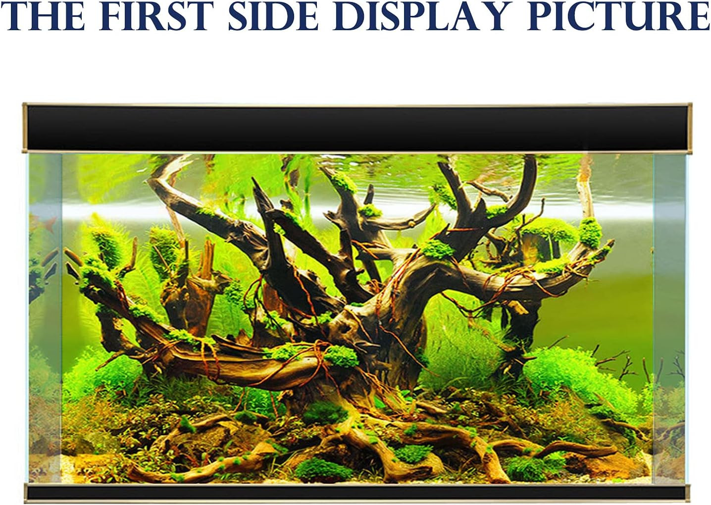 New 20″ X 48″ Fish Tank Background Paper Wallpaper 2 Sided Colorful Seaweed Wate
