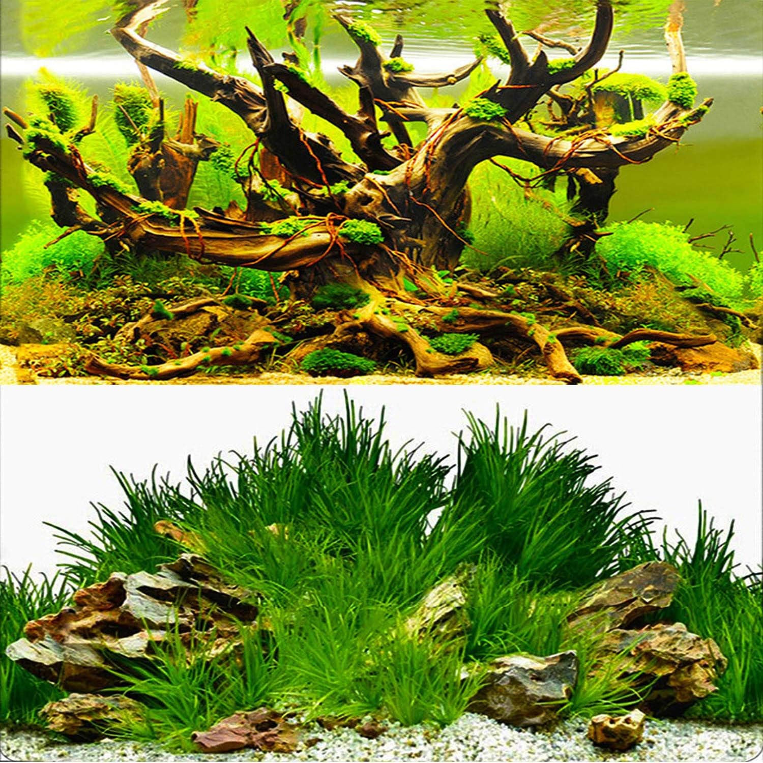 New 20″ X 48″ Fish Tank Background Paper Wallpaper 2 Sided Colorful Seaweed Wate