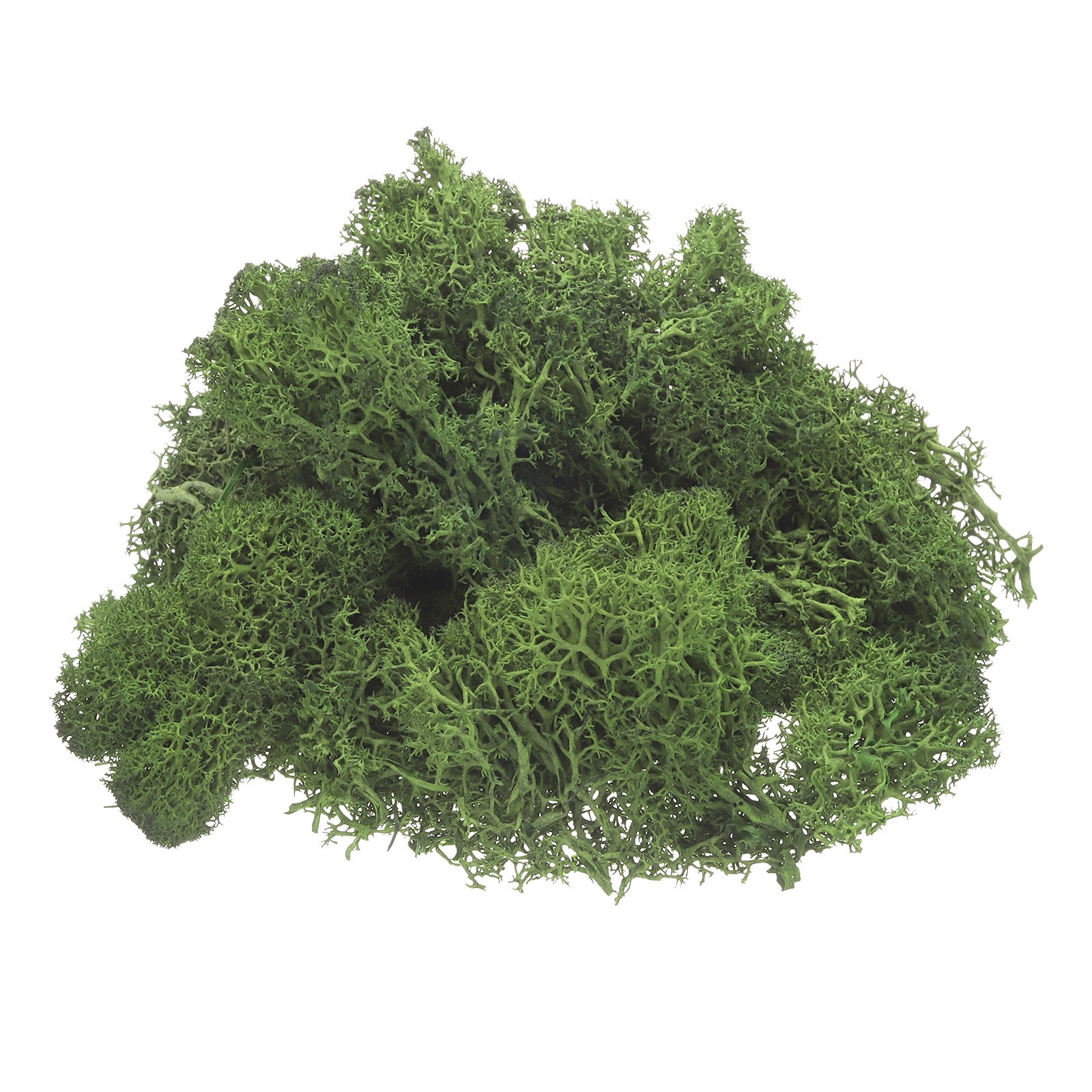 Preserved Reindeer Moss 4 OZ Fake Moss for Crafts (Dark Green)