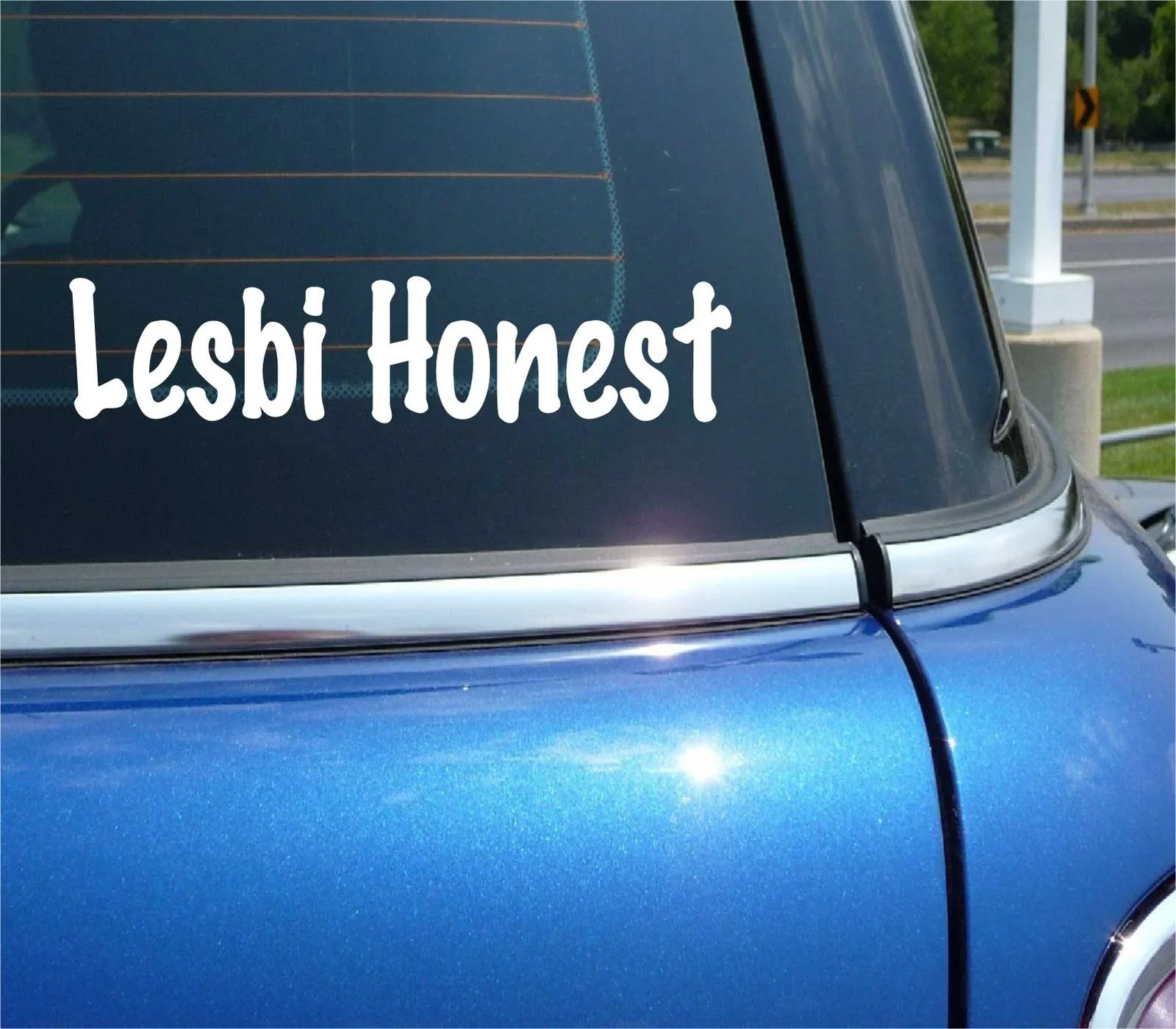 LESBI HONEST DECAL STICKER FUNNY LESBIAN GAY PRIDE FUN RIGHTS CAR TRUCK