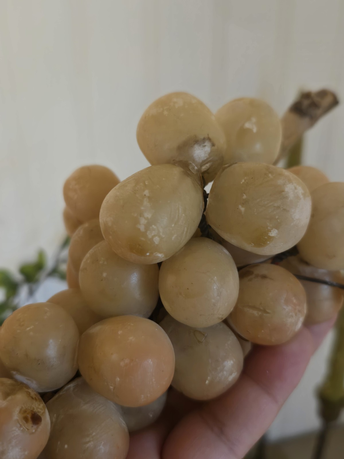 Alabaster Grapes