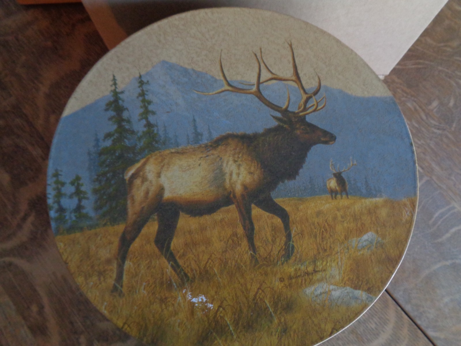 Western, Rustic, Bull Elk, Mountains and Pine Tree Canister/Storage Container.