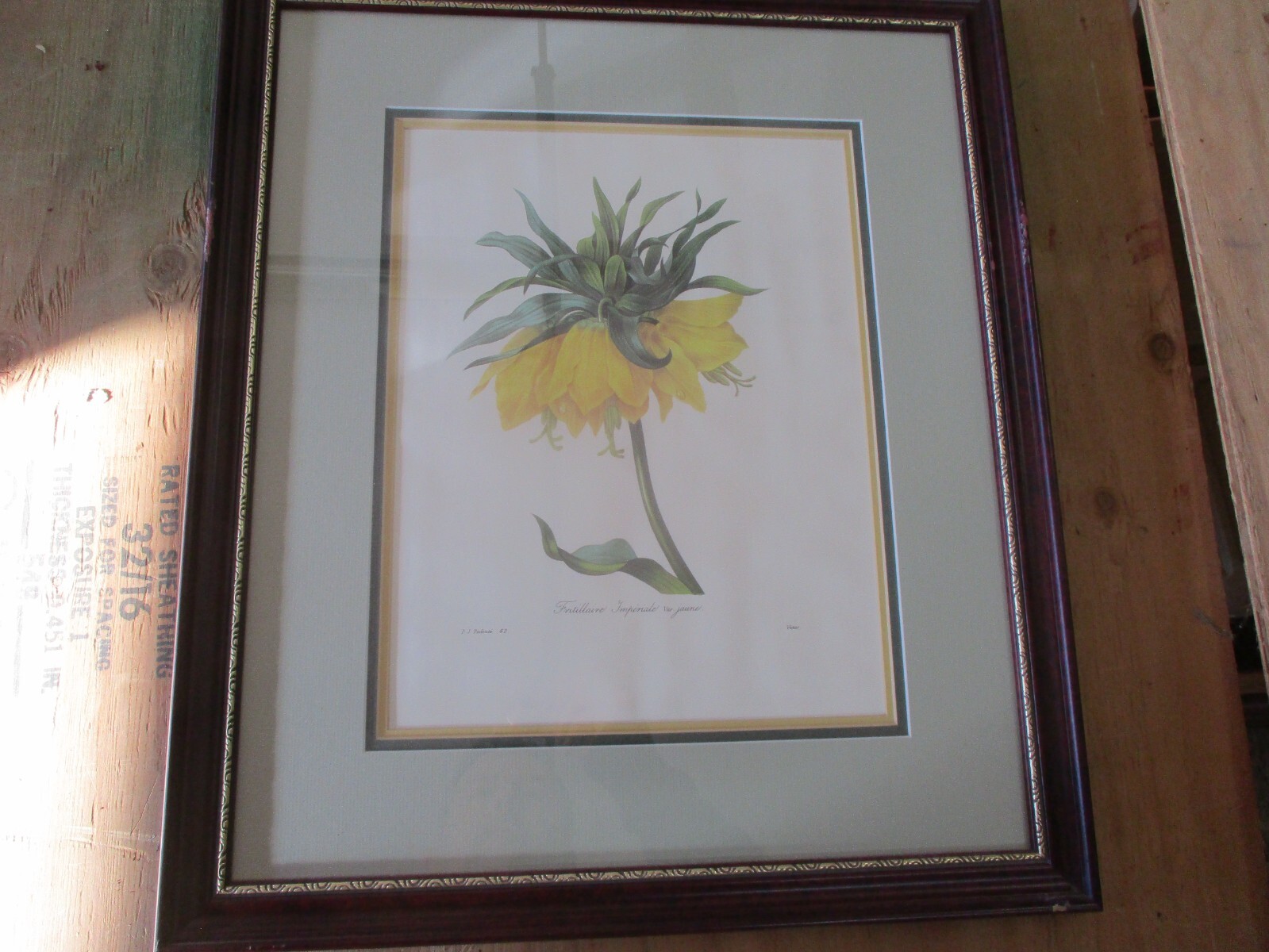 Framed Frittillaire Flower Picture Print 18″ x 21″