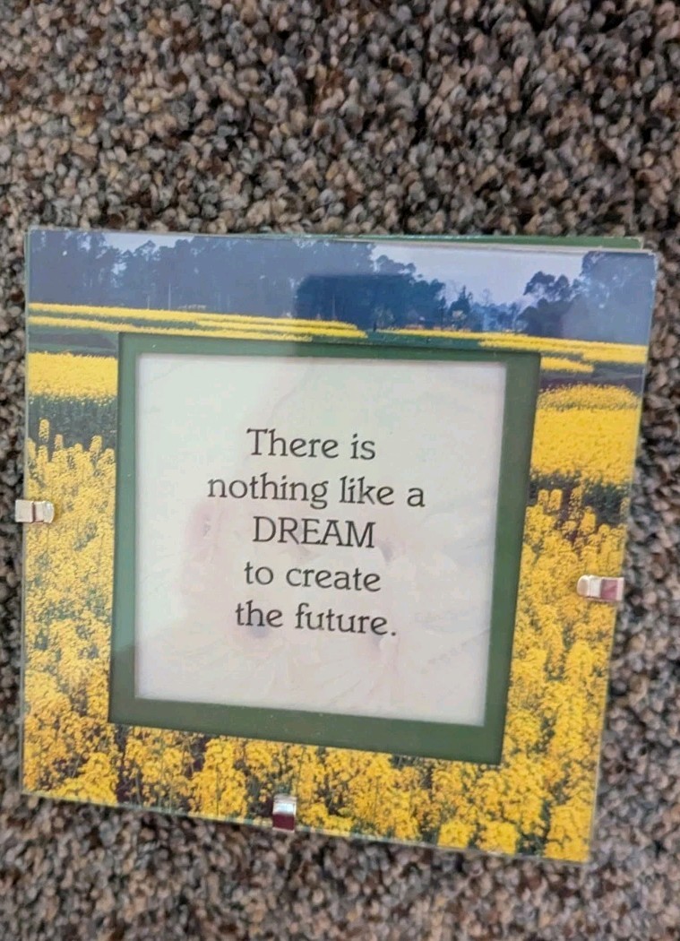 Nothing Like A Dream To Create The Future Frame
