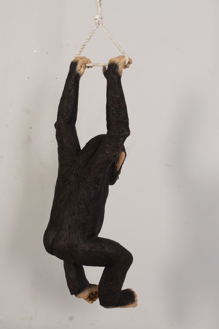 Realistic Chimpanzee Monkey Hanging From Rope With Two Hands Life Size Statue