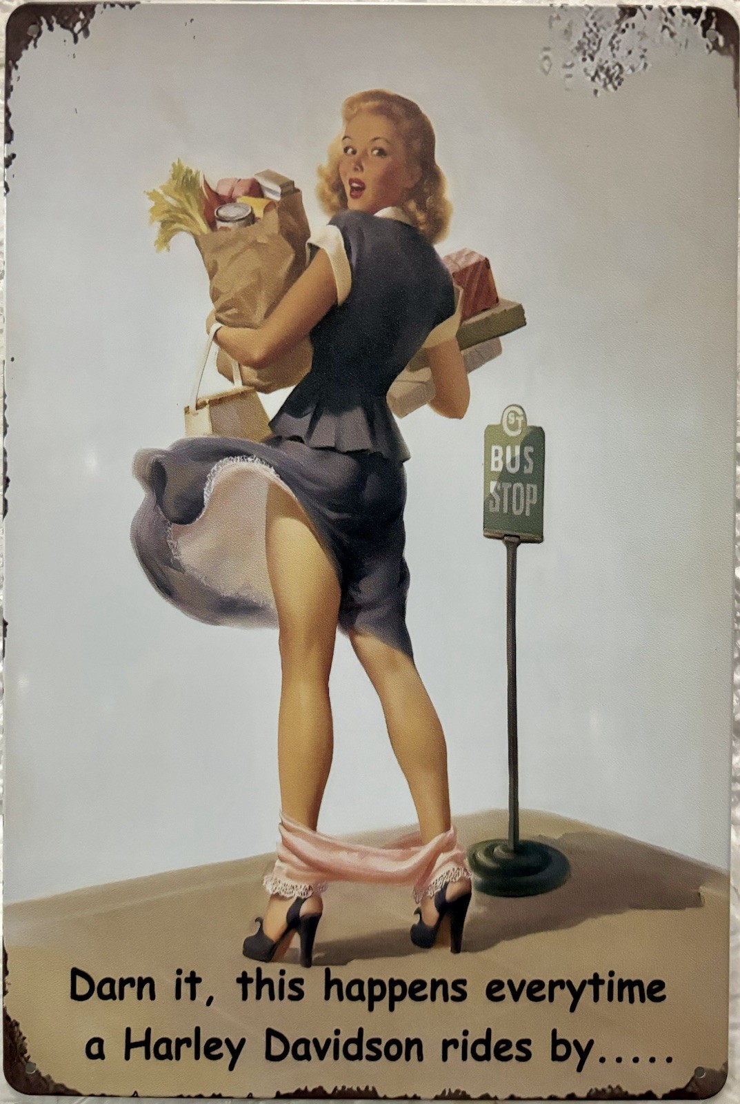 TIN SIGN 8×12 Sexy Girl Harley Davidson Motorcycle Funny Panties High Heels DD15