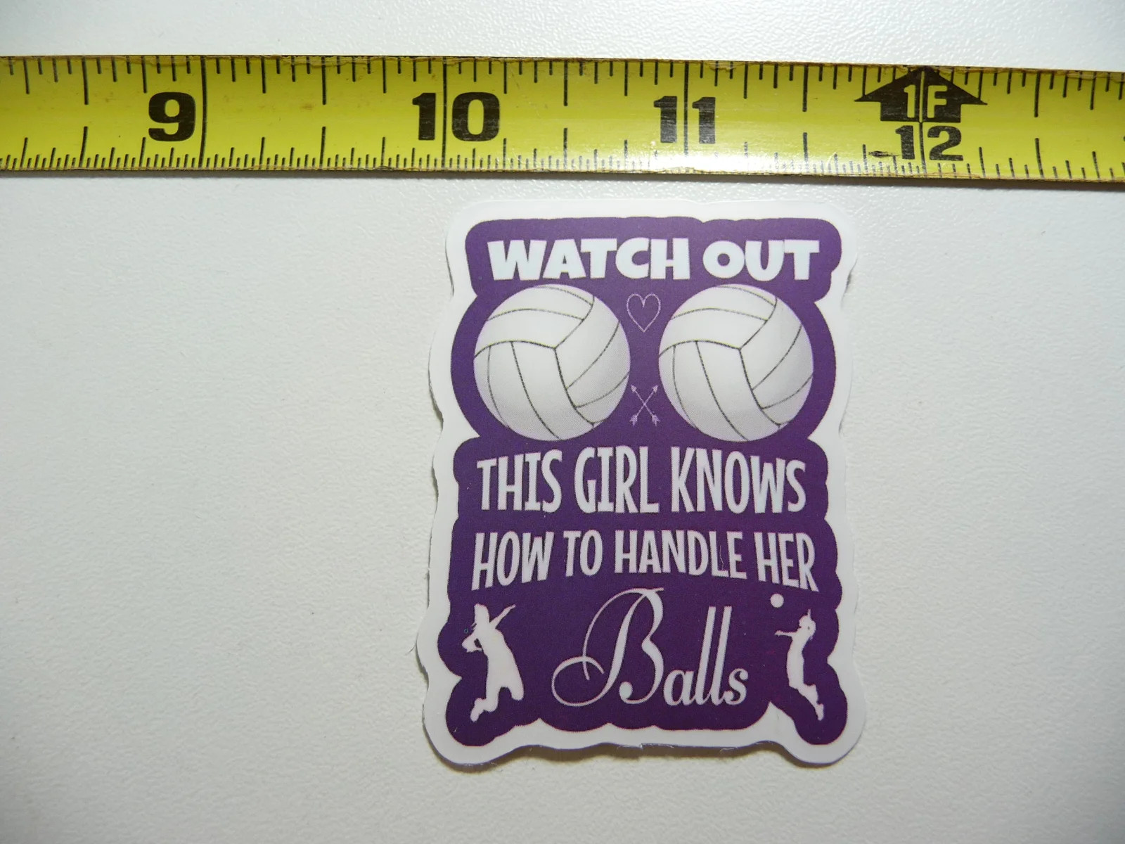 FUNNY VOLLEYBALL BALLS GIRL WOMAN SMALL STICKER DECAL GAME ATHLETIC SPORTS GAME