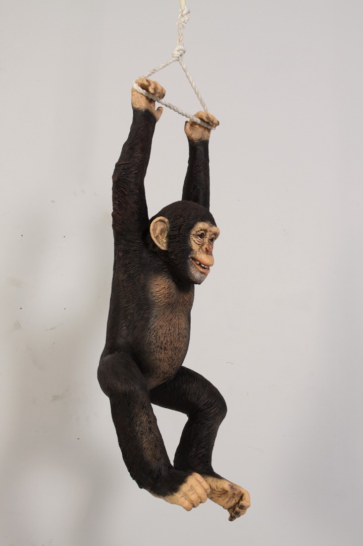 Realistic Chimpanzee Monkey Hanging From Rope With Two Hands Life Size Statue