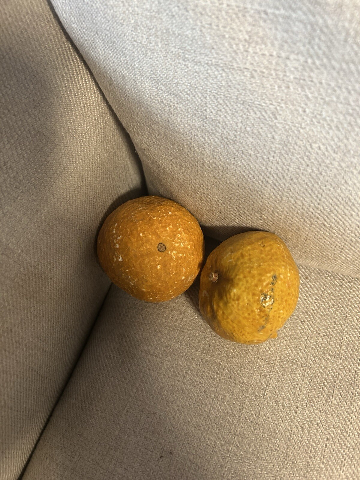 Alabaster Oranges/Mandarins Pair